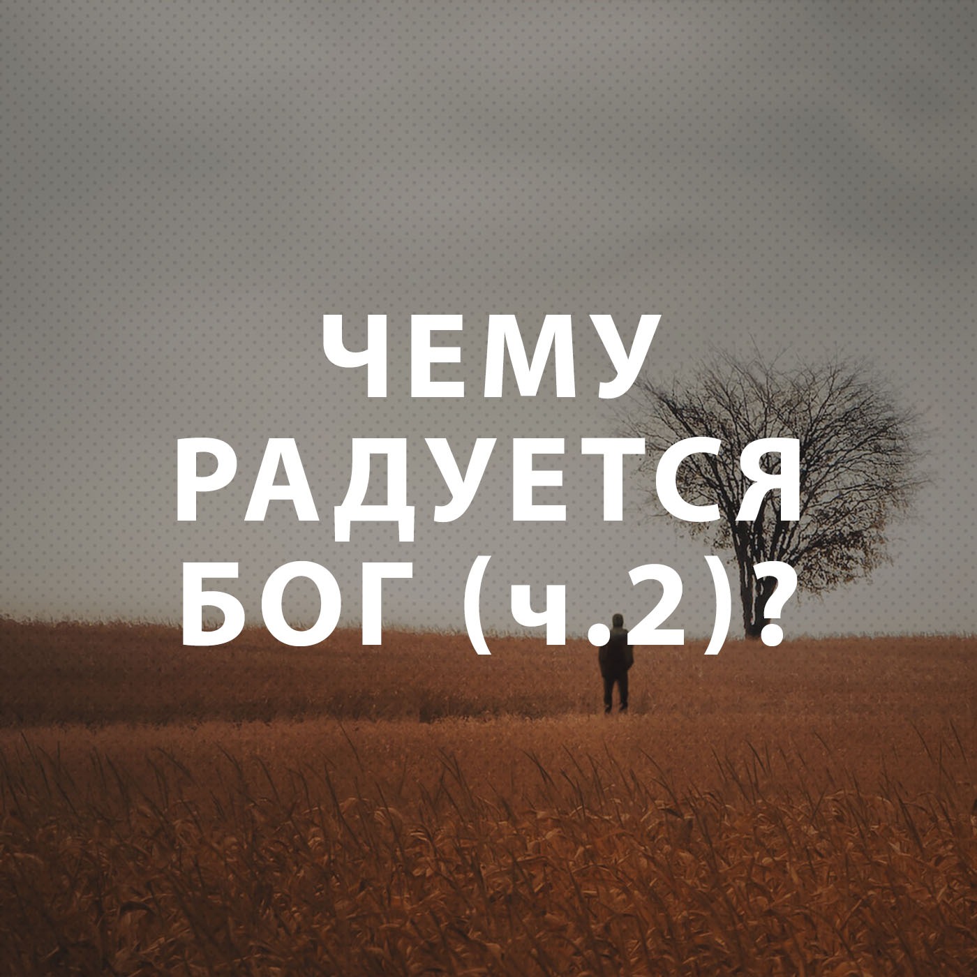 Пупышев Игорь - Чему радуется Бог? (часть 2)