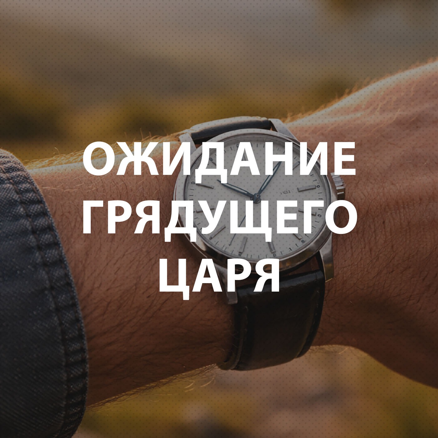 Пупышев Игорь - Ожидание грядущего Царя episode artwork