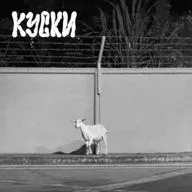 к у с к и ( прошлогодние остатки )