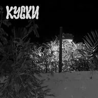 к у с к и ( 2 8 ) : честно о капибарах и муравьеде