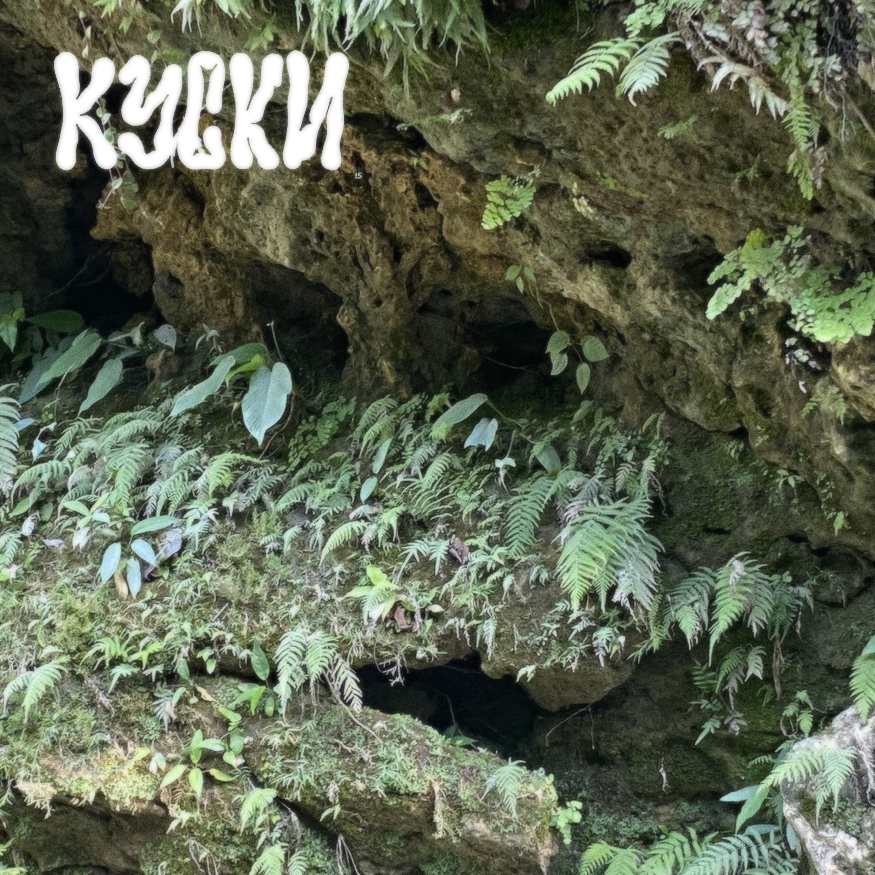 к у с к и ( 1 5 ) : кушать, какать, писять episode artwork