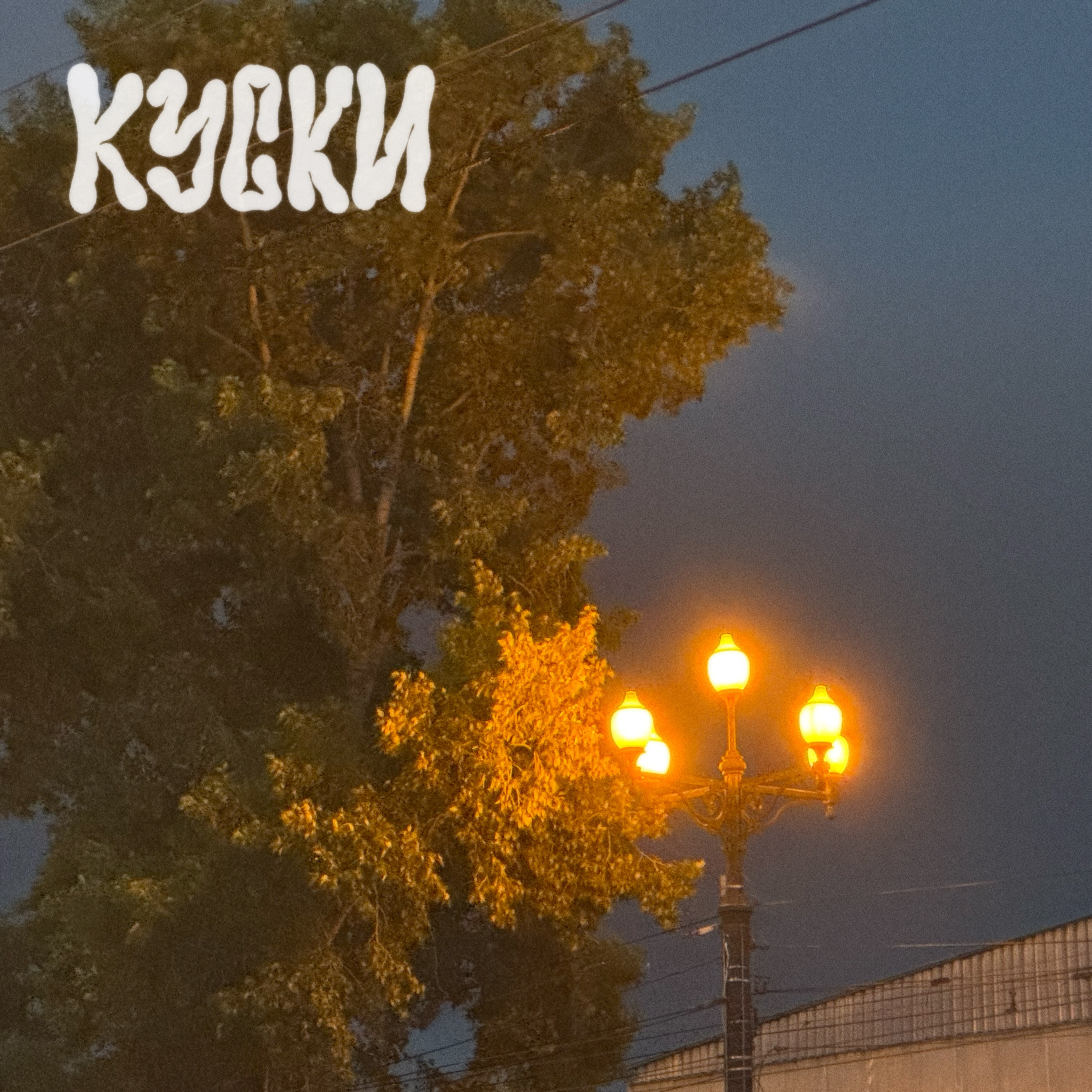к у с к и ( 3 0 ) : клубеньки чуфы episode artwork