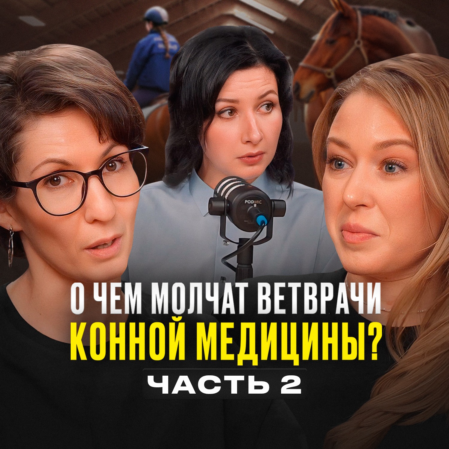 О чём молчат ветврачи конной спортивной медицины. Часть 2 episode artwork