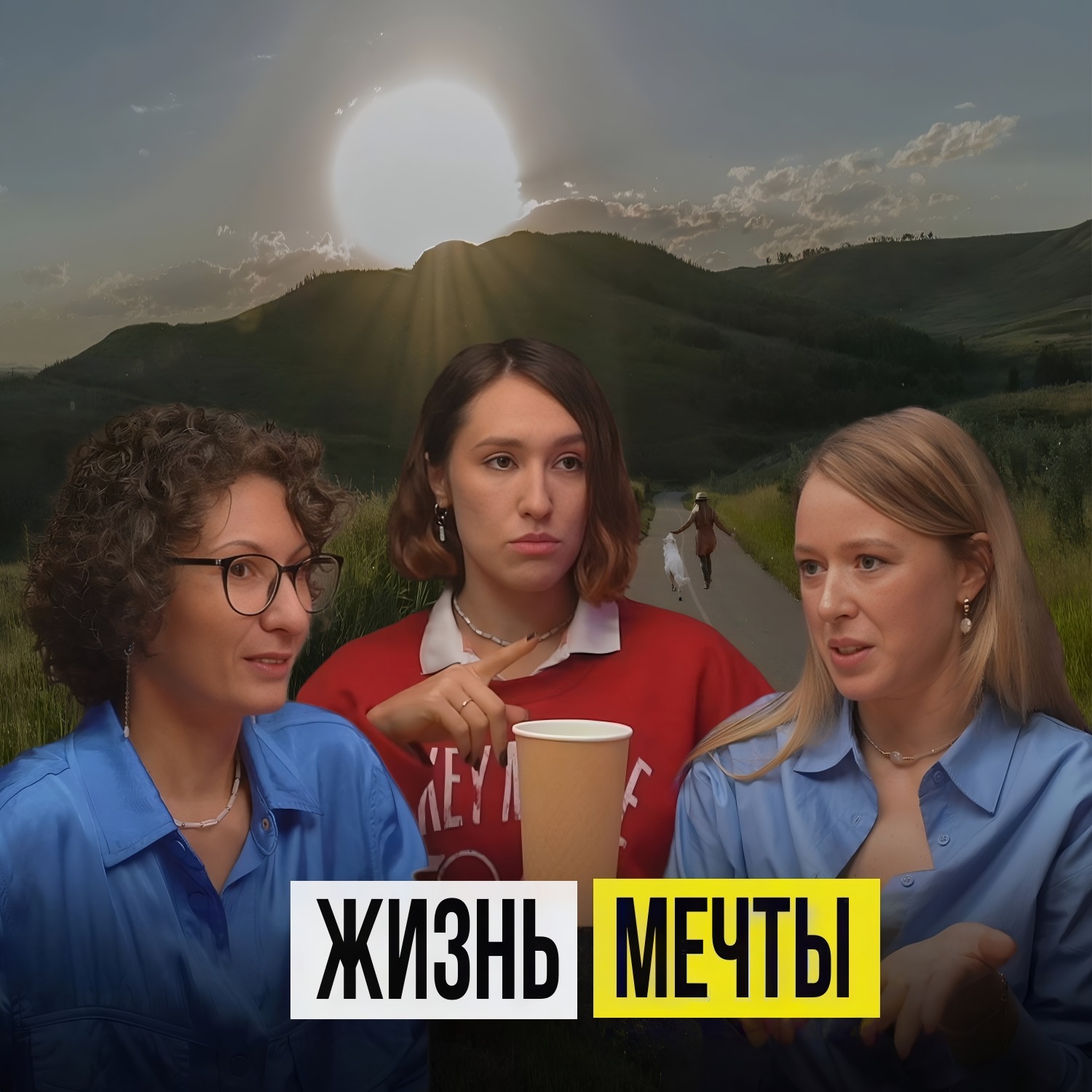 РАЗВОД,НЕХВАТКА ДЕНЕГ,РАБОТА БЕЗ ВЫХОДНЫХ. История ветврача диетолога episode artwork