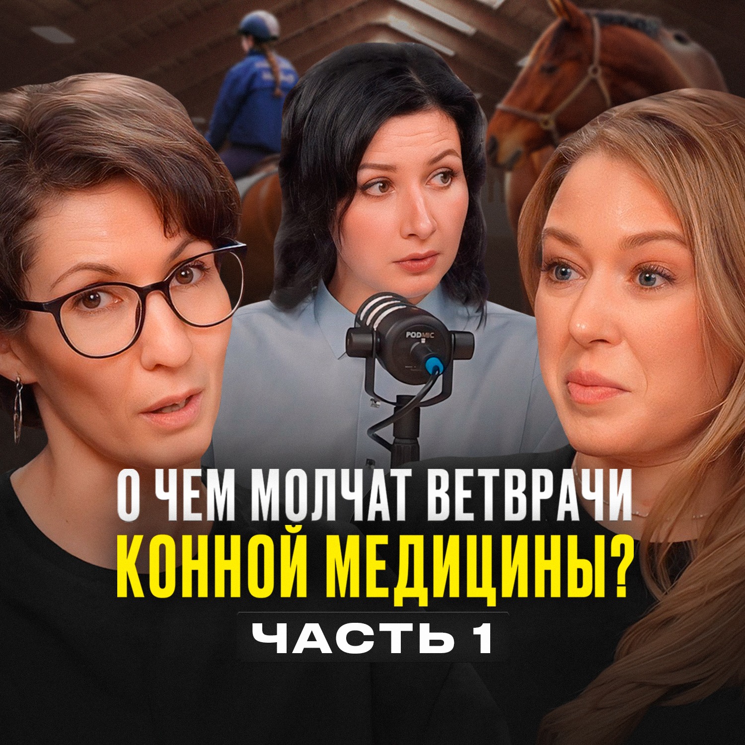 О чём молчат ветврачи конной спортивной медицины? Часть 1 episode artwork
