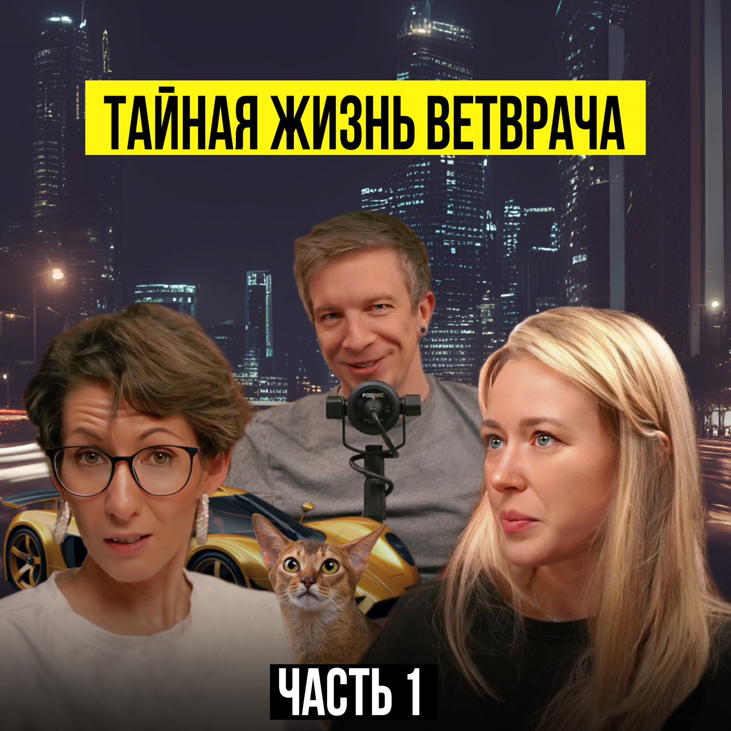 ЖИЗНЬ ВЕТВРАЧА В МЕГАПОЛИСЕ episode artwork