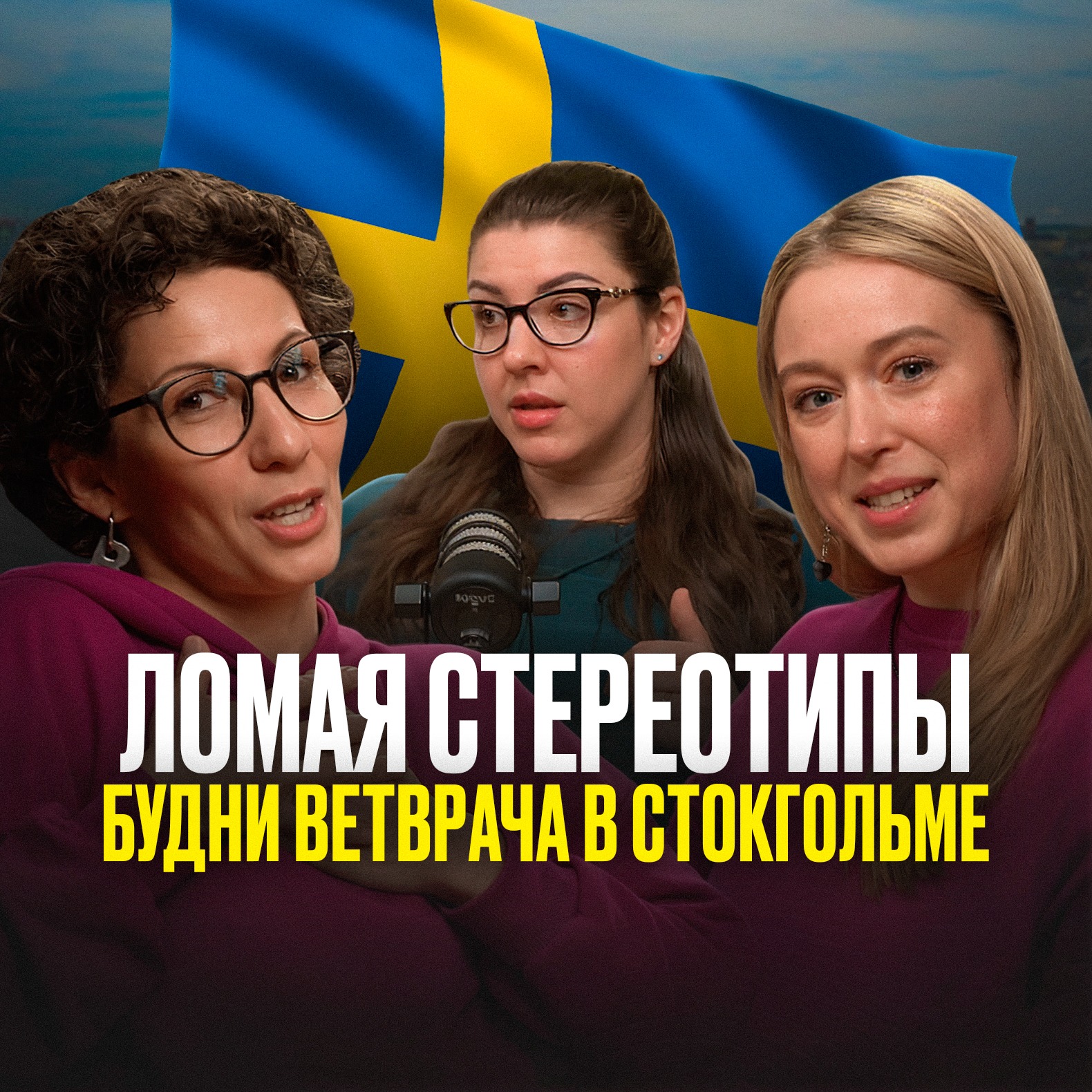 Ломая Стереотипы. Будни ветврача в Стокгольме episode artwork