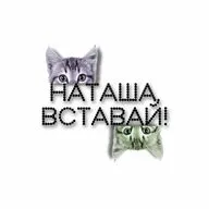 Наташа, вставай - 4. Тренд: все пошли инвестировать. Главные ошибки на бирже.