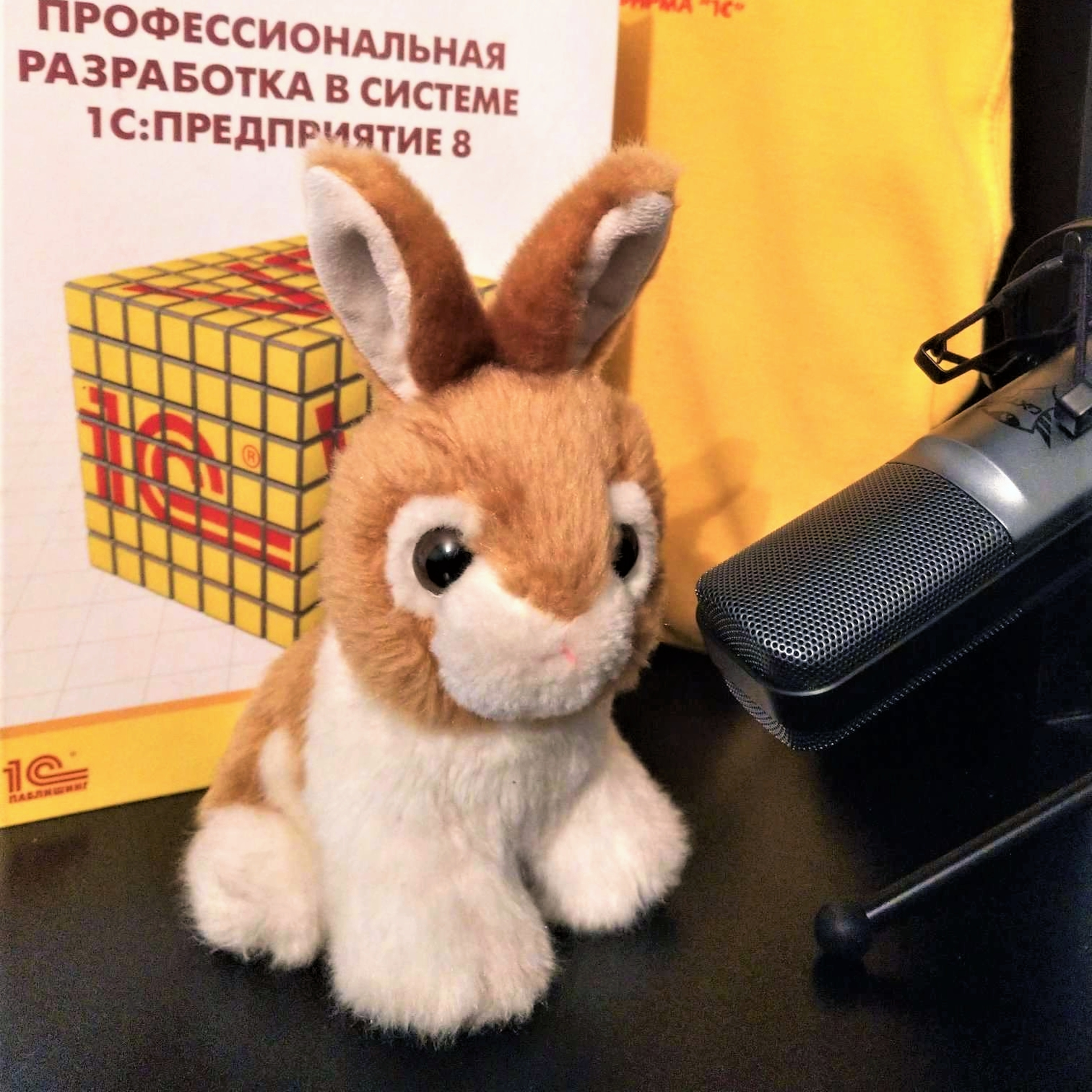 Функциональное моделирование на языке IDEF0 как полезный инструмент в руках 1С-разработчика episode artwork