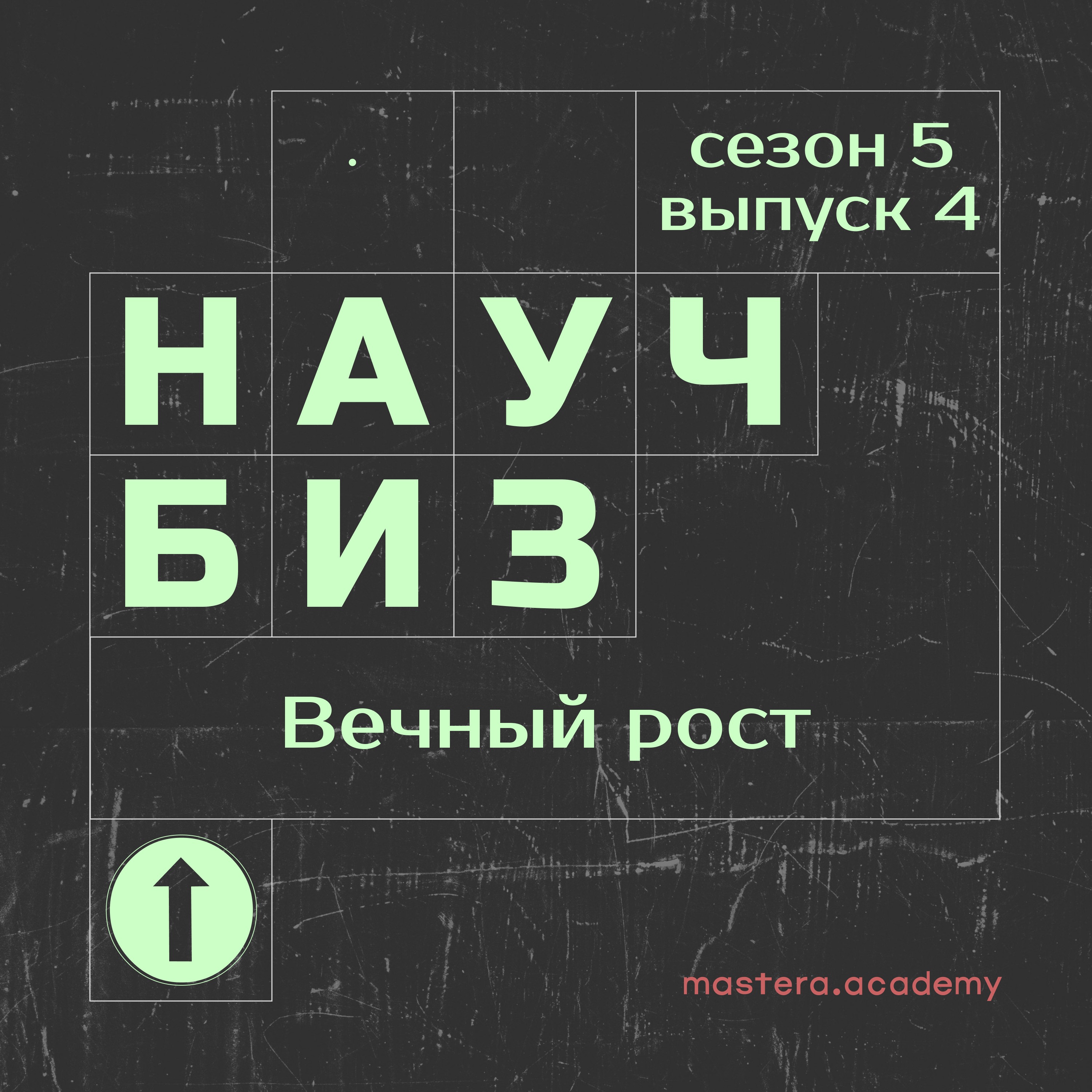 Почему вечный рост компании — это ошибка