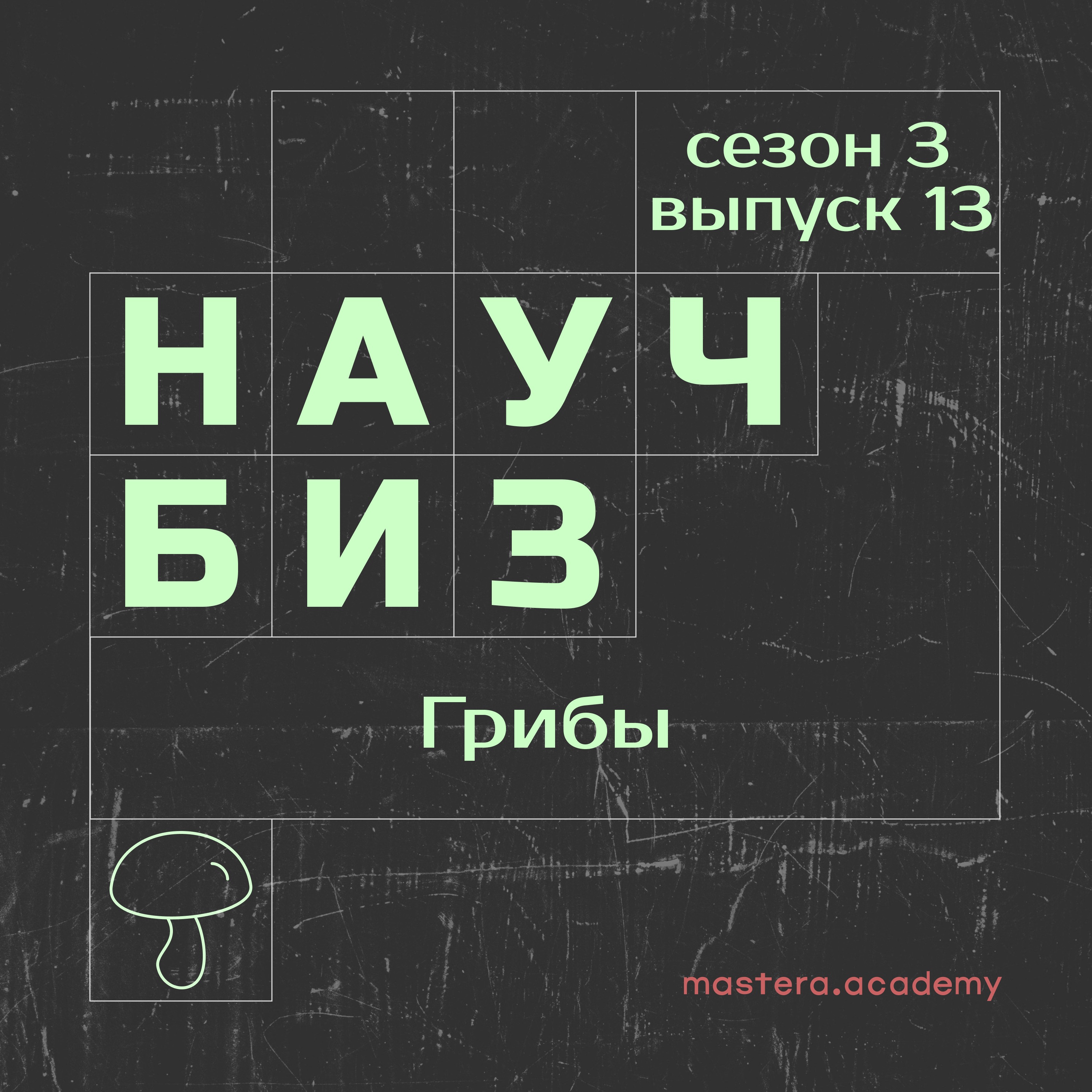 Почему грибы всех спасут episode artwork