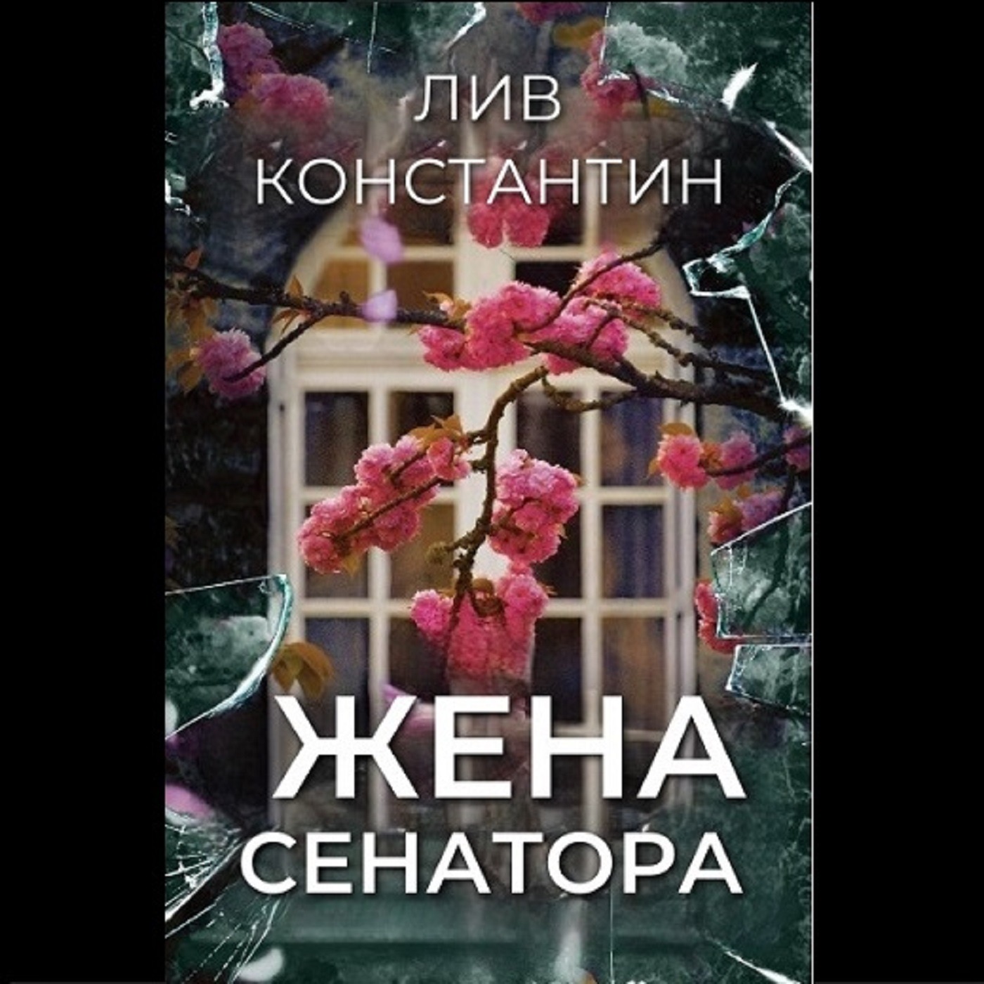 Лив Константин. Жена сенатора (отрывок)