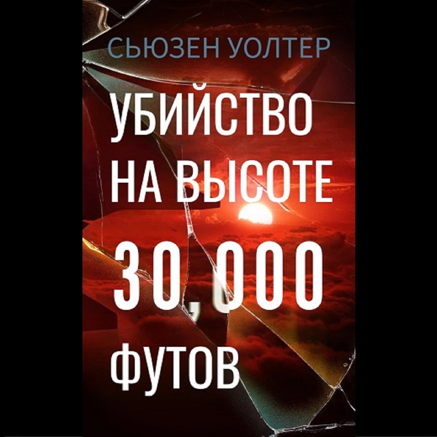 Сьюзен Уолтер. Убийство на высоте 30000 футов (отрывок) episode artwork
