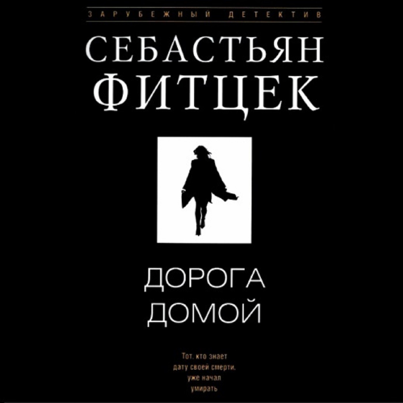 Себастьян Фитцек. Дорога домой (отрывок) episode artwork