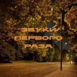 Звуки первого раза