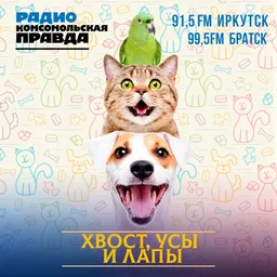 Хвост, усы и лапы - Иркутск