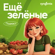 Аудит сада: что проверить осенью, чтобы следующий сезон прошёл без потерь