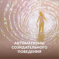 Автоматизмы созидательного поведения
