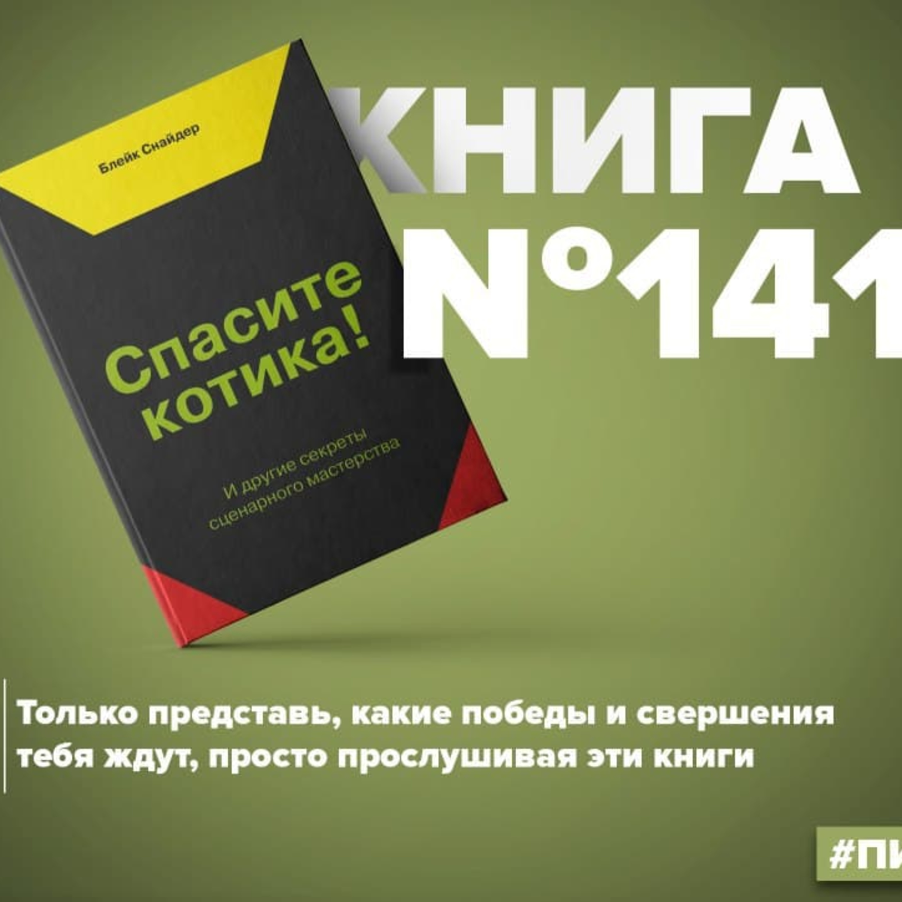 Книга #141 - Спасите котика! И другие секреты сценарного мастерства. Копирайтинг episode artwork
