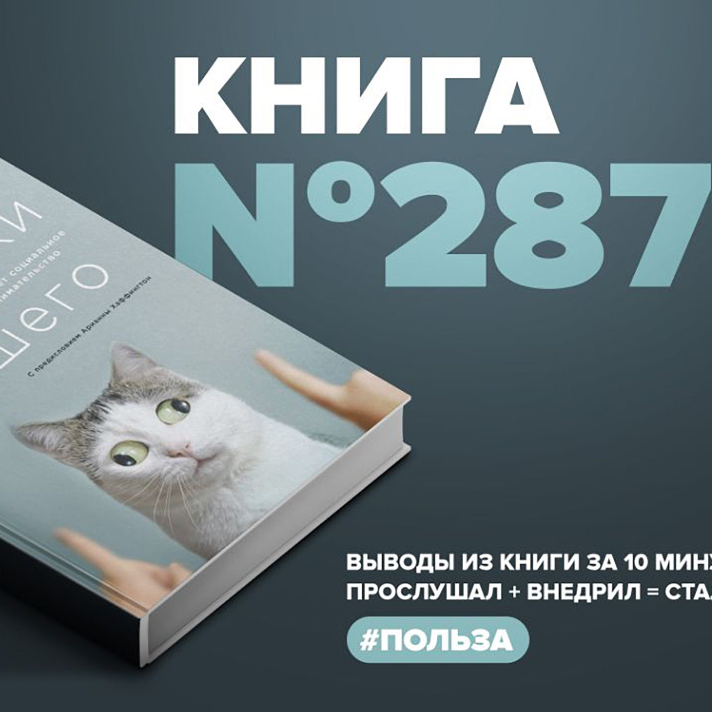 Книга #287  -  Выходя за рамки лучшего. Как работает социальное предпринимательство. episode artwork