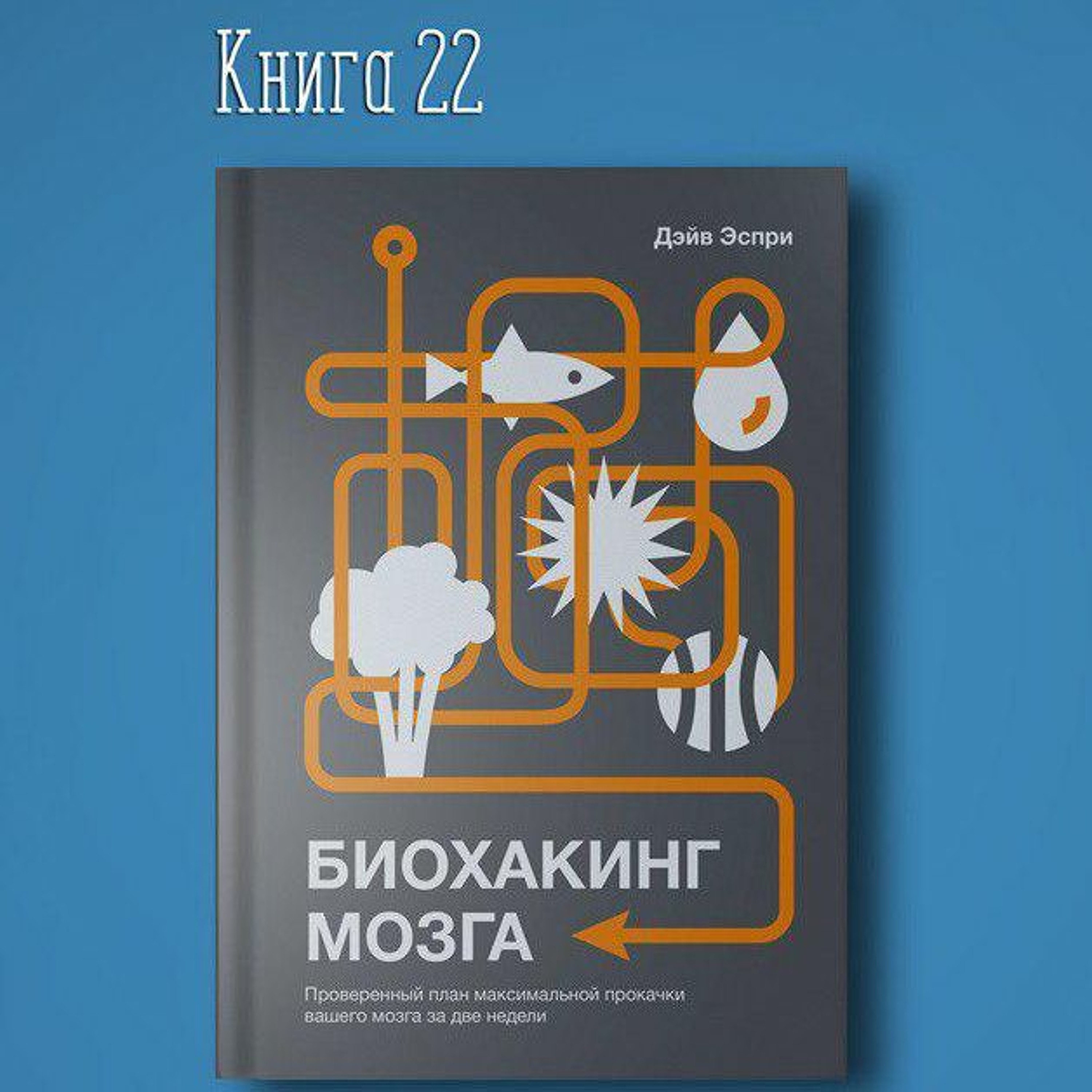 Книга #22 - Биохакинг мозга. Проверенный план максимальной прокачки вашего мозга за две недели. Ум episode artwork