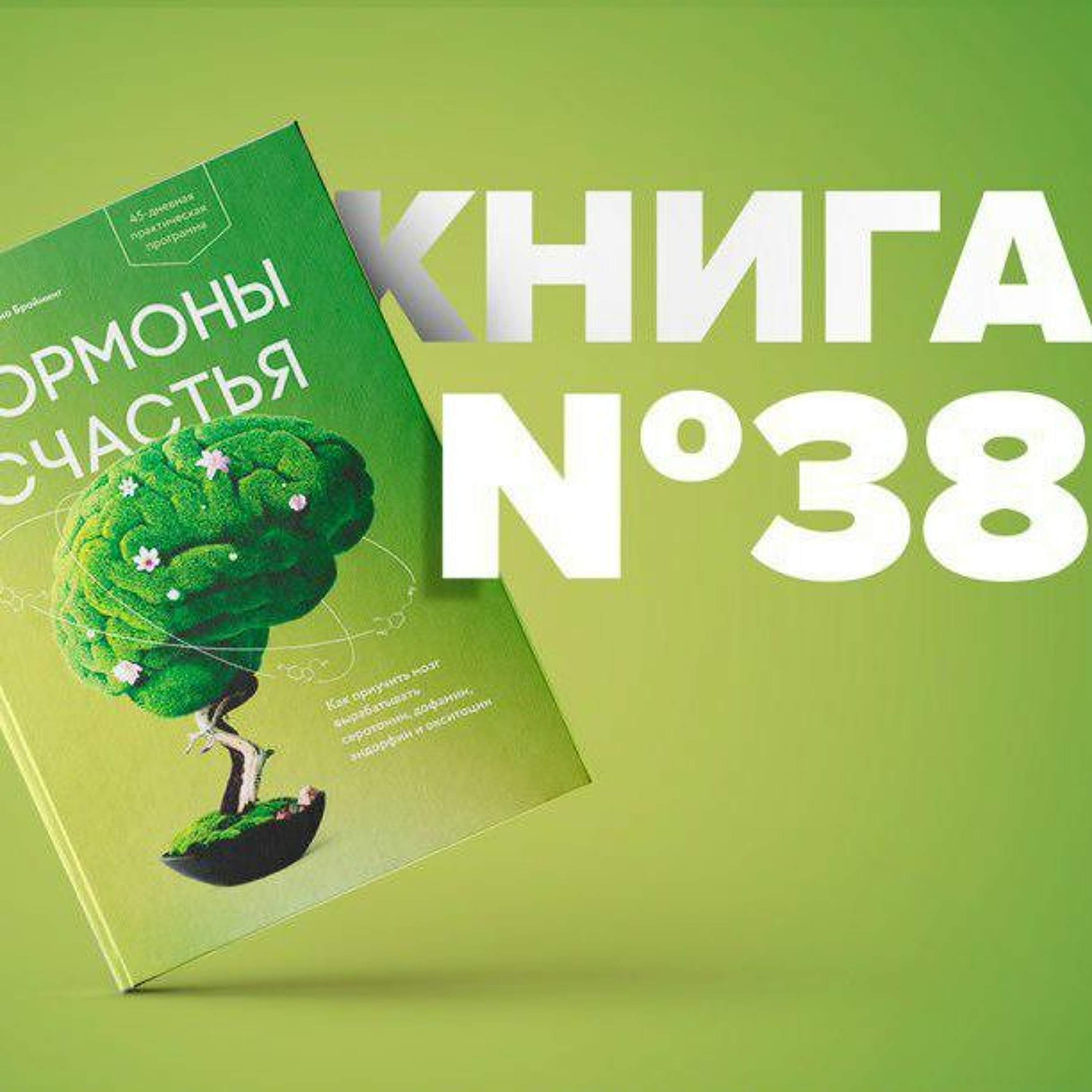 Книга #38 - Гормоны счастья. Как приучить мозг вырабатывать серотонин, дофамин, эндорфин и окситоцин episode artwork
