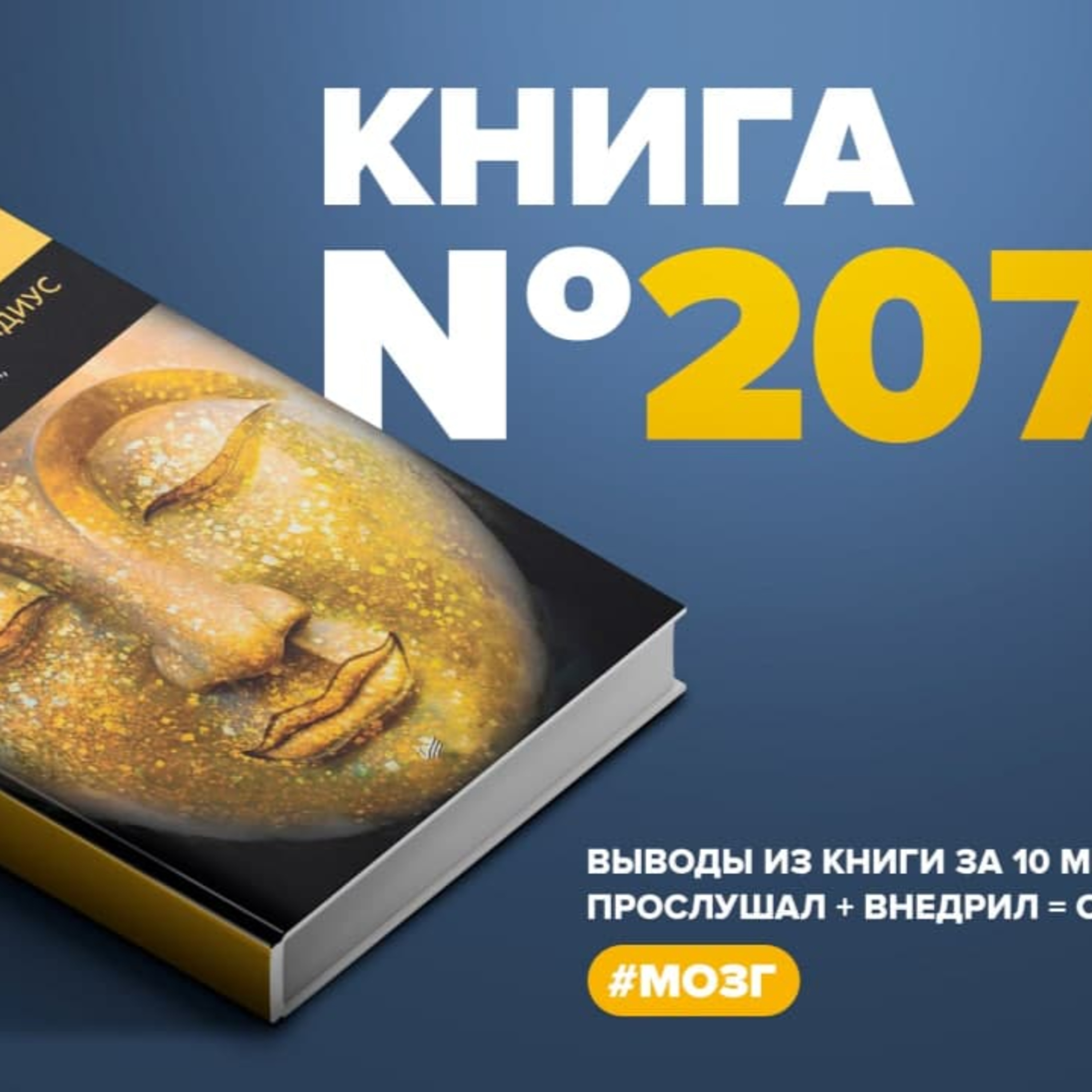 Книга #207 - Мозг Будды: нейропсихология счастья, любви и мудрости episode artwork