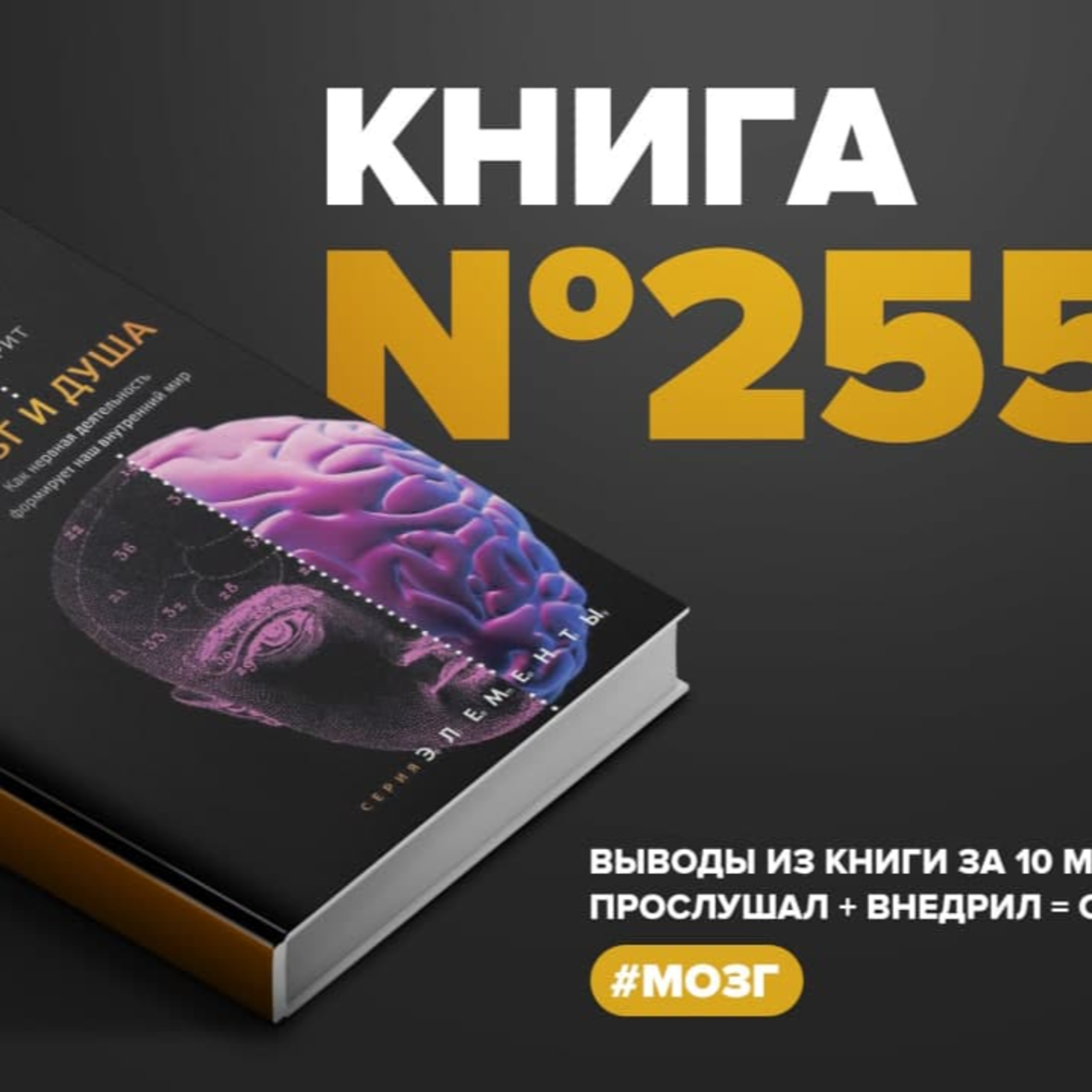 Книга #255 - Мозг и душа. Как нервная деятельность формирует наш внутренний мир episode artwork