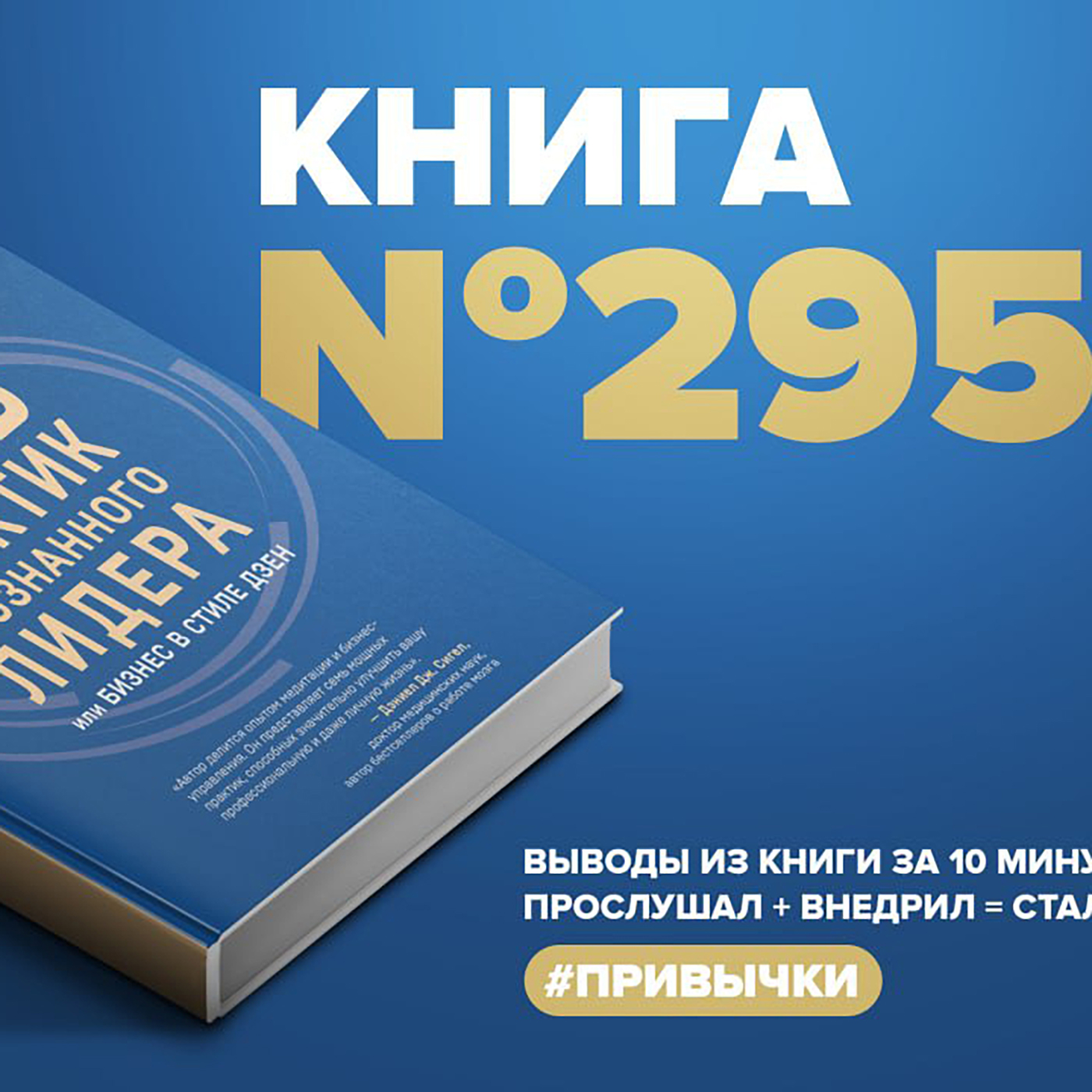 Книга #295  -  Семь практик осознанного лидера. Или бизнес в стиле день. episode artwork
