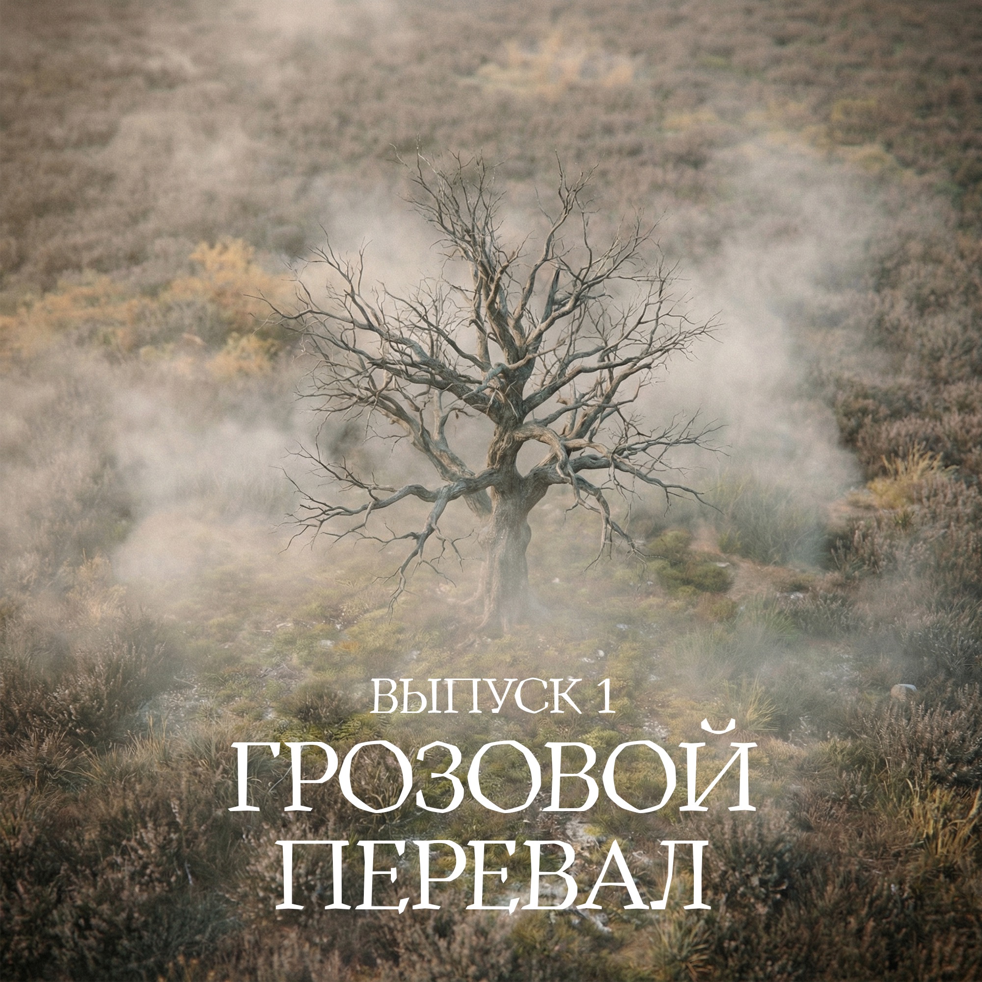 №1. «Грозовой перевал» episode artwork