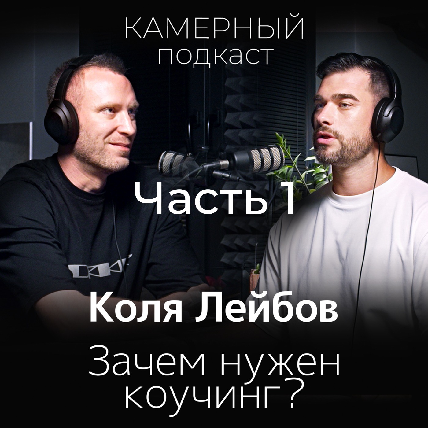 КОЛЯ ЛЕЙБОВ: Зачем нужен коучинг? / Камерный подкаст #7, ЧАСТЬ 1 episode artwork