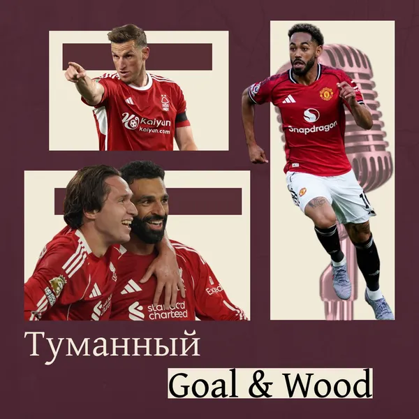 Туманный Goal & Wood