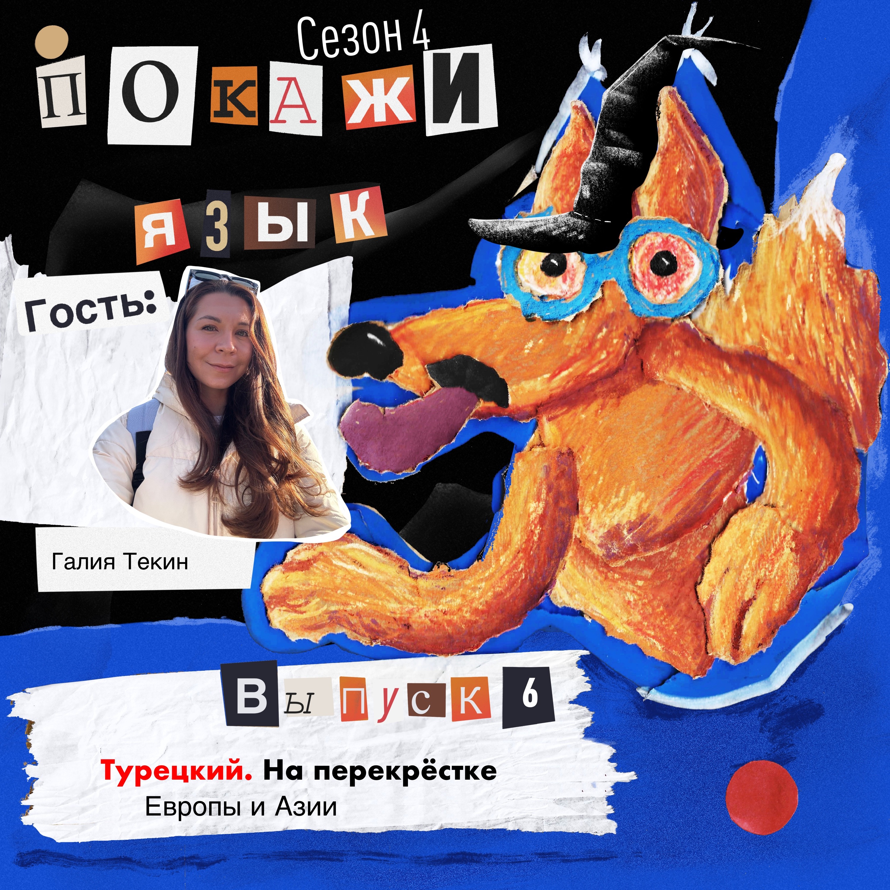 Турецкий. На перекрёстке Европы и Азии episode artwork