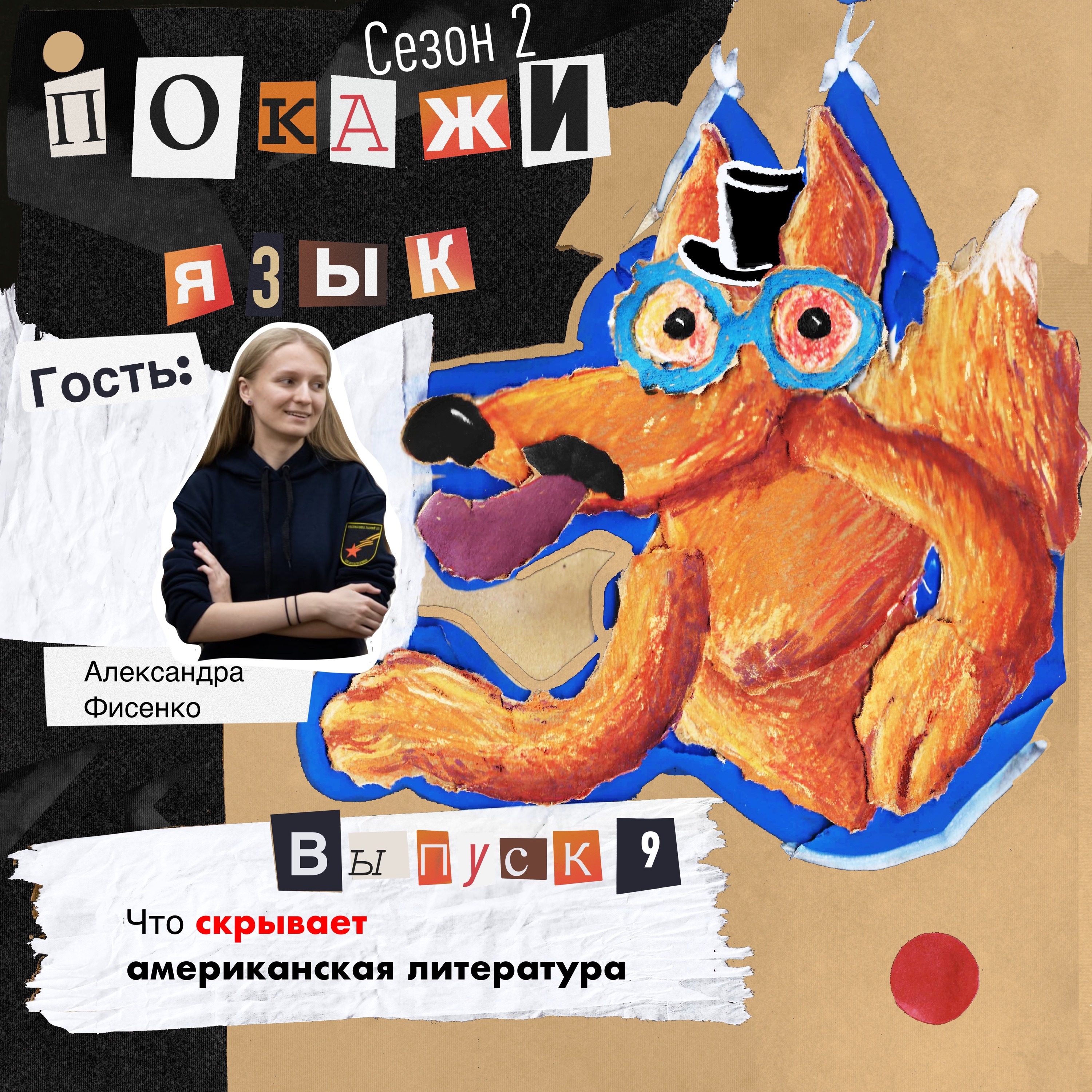 Что скрывает американская литература episode artwork