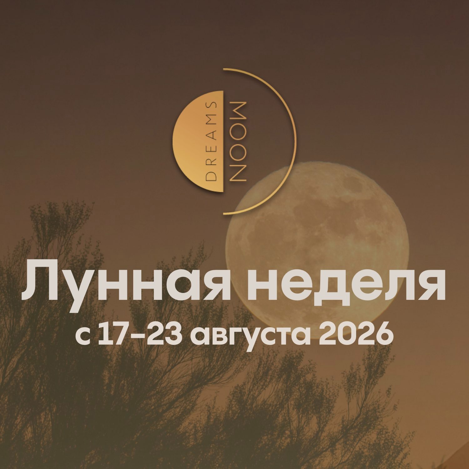 Лунная неделя с 17 по 23 августа 2026 episode artwork