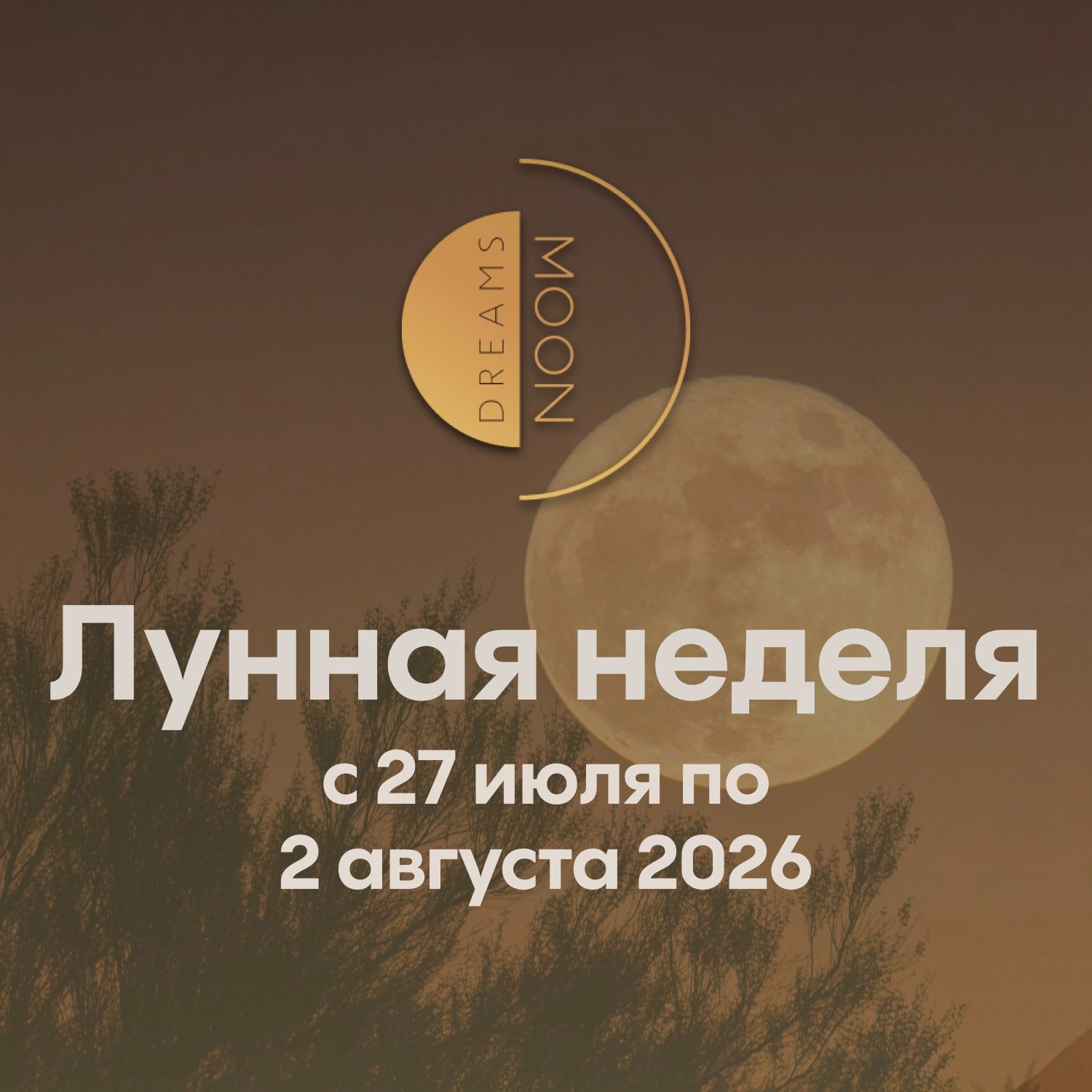 Лунный прогноз с 27 июля по 2 августа 2026 episode artwork