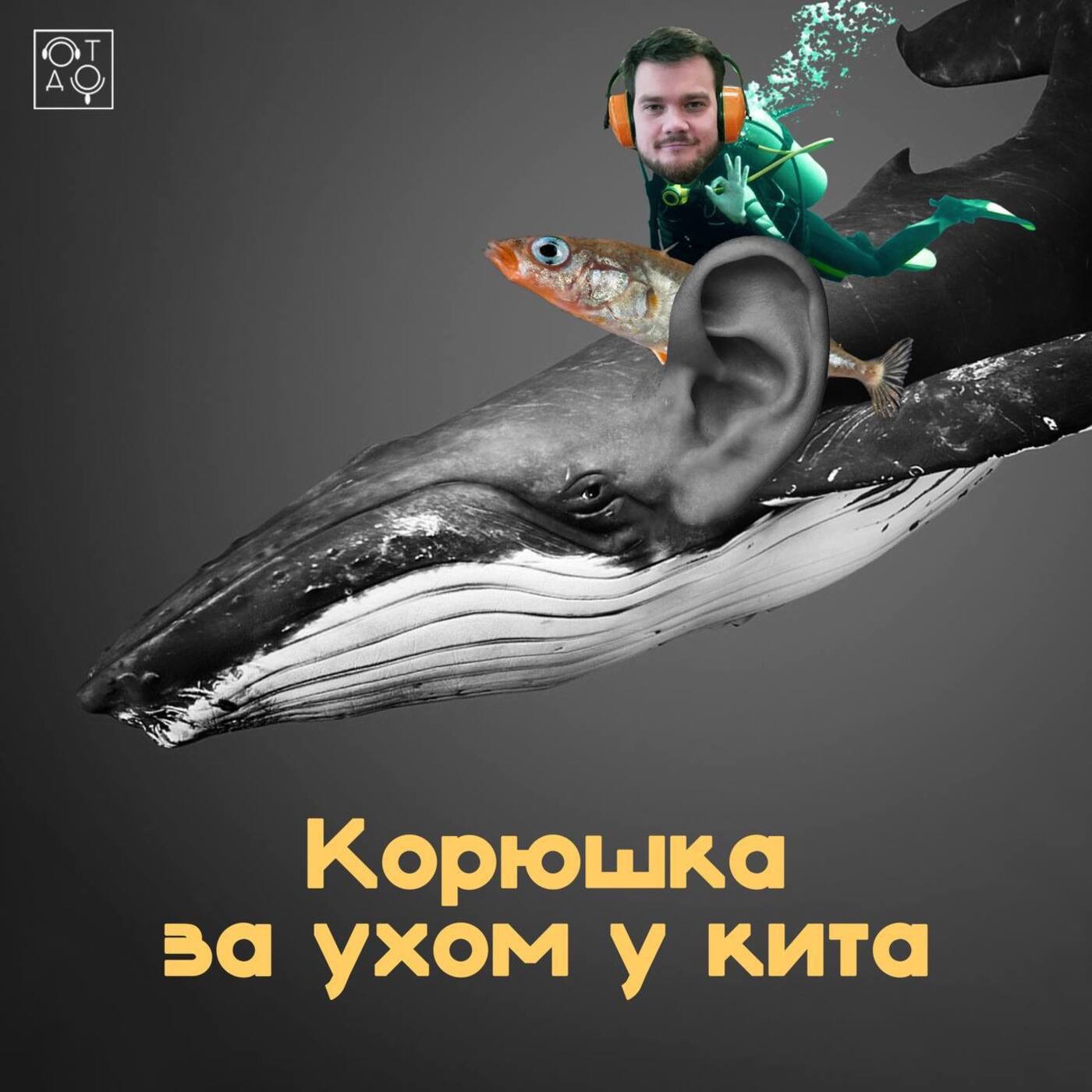 «Корюшка за ухом у кита», или история о том, как Никита придумал подкаст