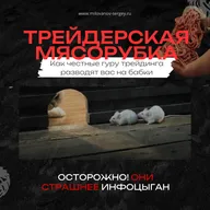 Трейдерская мясорубка: как "честные" гуру-трейдинга разводят вас на бабки под видом благородства
