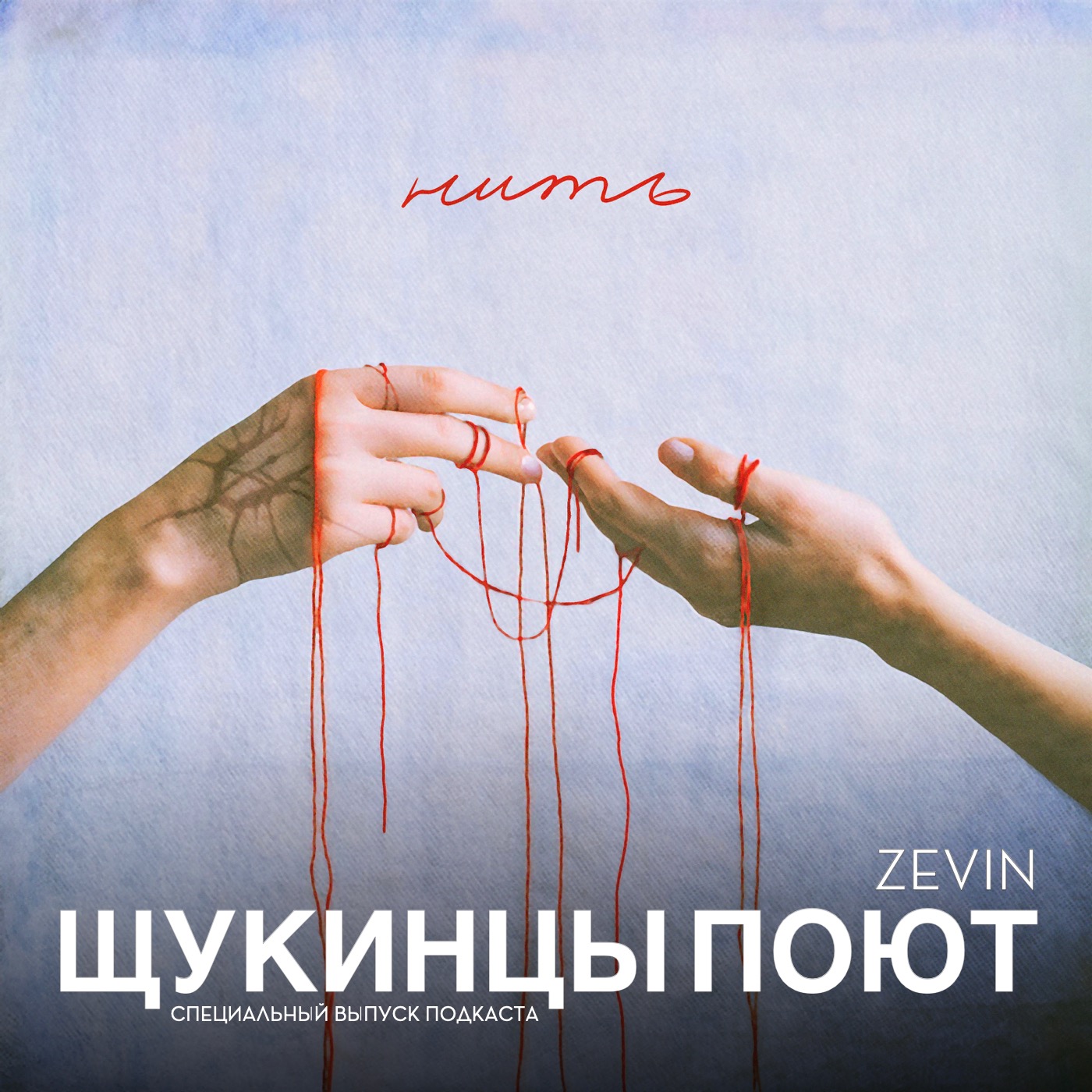 Щукинцы поют. Группа Zevin