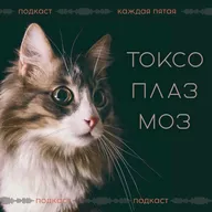 Опасности от животных и детей для беременных