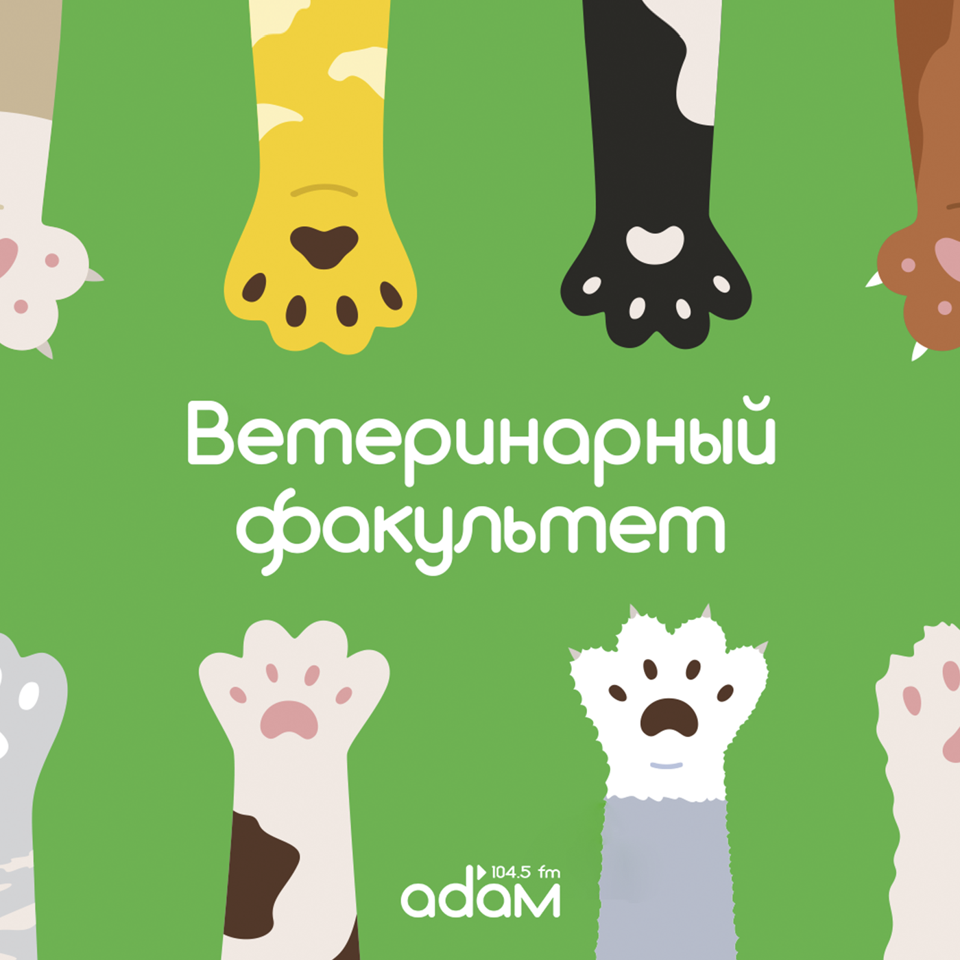 Ветеринарный факультет. Инфекционные болезни у домашних животных. episode artwork