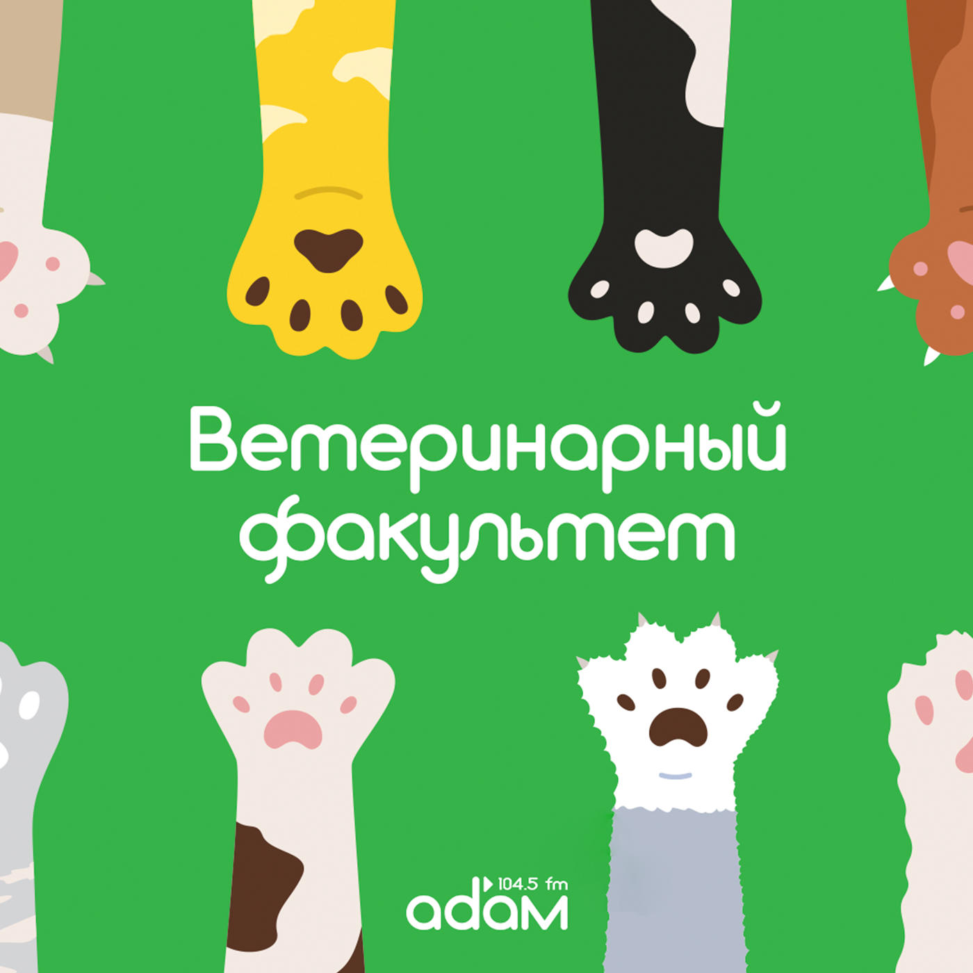 Ветеринарный факультет. Какого питомца выбрать? Глава 2. episode artwork