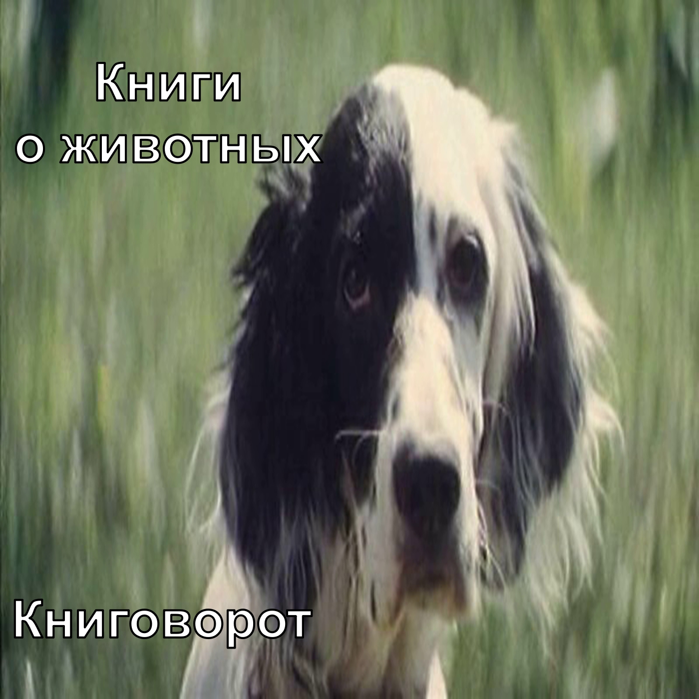 Книги о животных - Книговорот