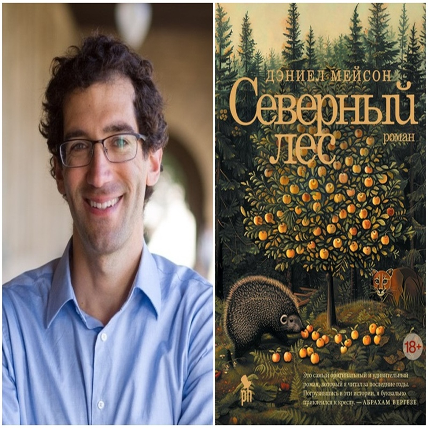 Северный лес