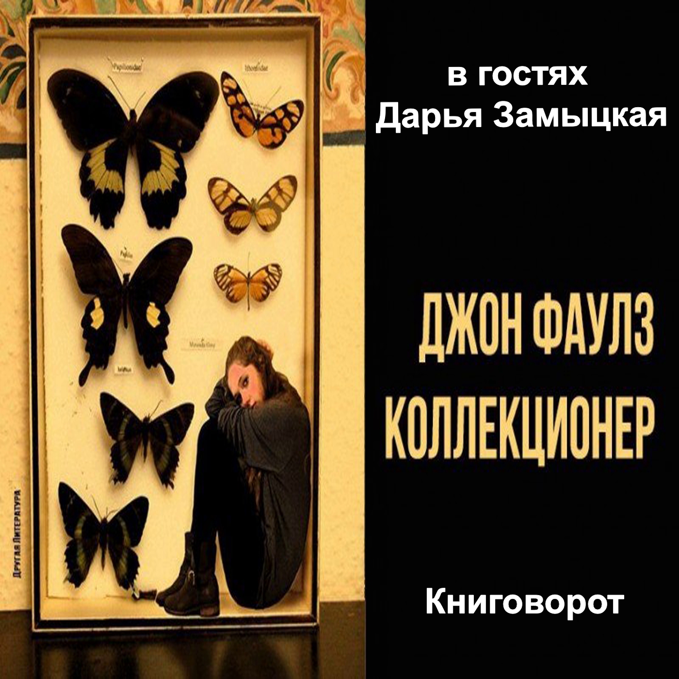 Коллекционер (в гостях Дарья Замыцкая) - Книговорот
