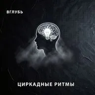 Циркадные ритмы и осенняя усталость: как дефицит света ломает мозг