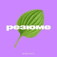 Каким должно быть резюме у джуна?