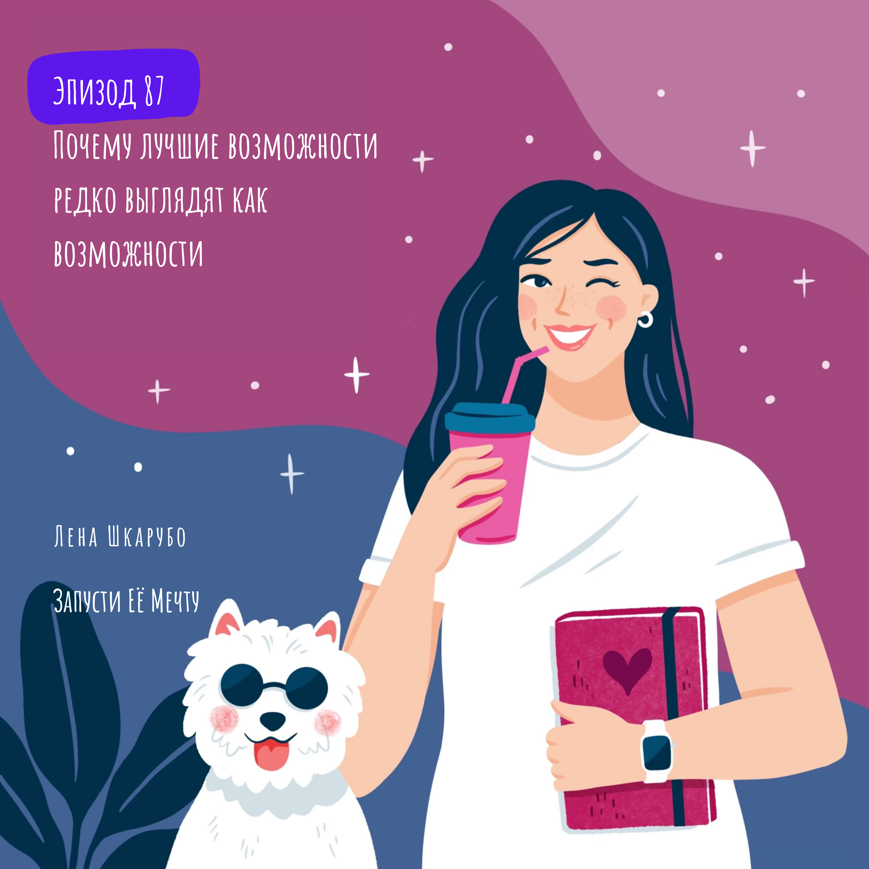 E87 Почему лучшие возможности редко выглядят как возможности episode artwork