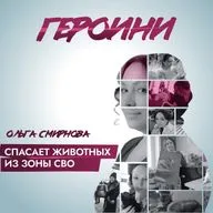 Художница из Новосибирска спасает котов в зоне СВО и вывозит их из под обстрелов