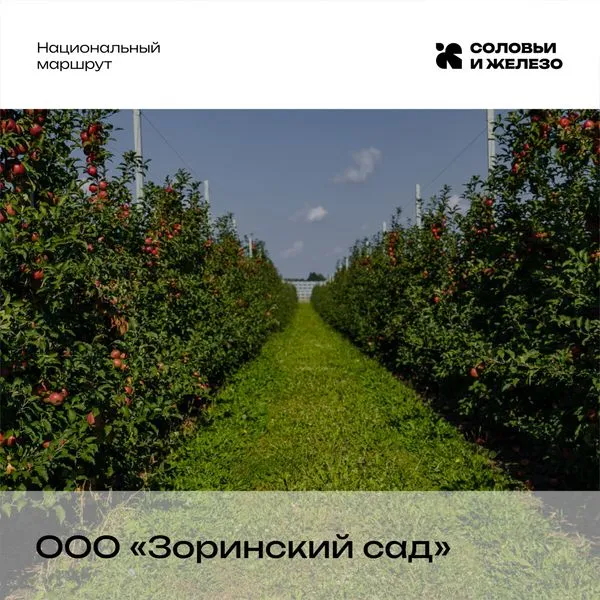 ООО «Зоринский сад»